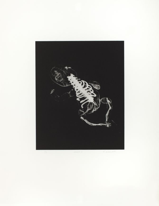 Click the image for a view of: Rosemarie Marriott. vroed 2. 2015. Polymer etching. Edition 3. 650X500mm